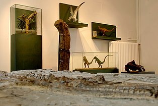 Die Dinos sind los im Mineralien-Museum. Dinosaurier im Mineralien-Museum.