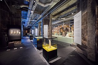 Foto mit Blick in die Sonderausstellung "überLeben in der Eiszeit"