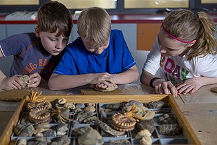 Drei Kinder beim fälschen von Fossilien.