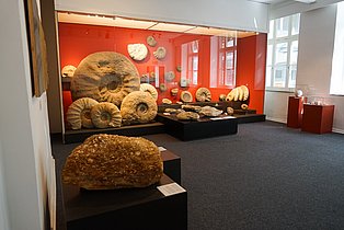 Mineralien-Museum
