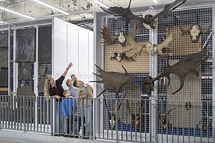 Menschen im Schaudepot