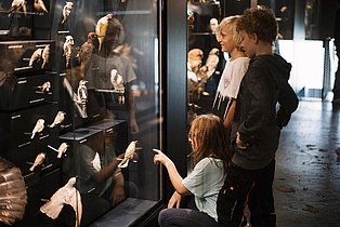 Kinder in der Dauerausstellung des Ruhr Museums, Bereich "Flora und Fauna"