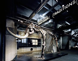 Skelett eines Mammuts in der Dauerausstellung des Ruhr Museums.