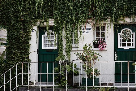 Außenansicht von einem Haus auf der Margarethenhöhen, die hellen Wände sind grün berankt und die Türen grün.