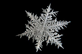 Leihgabe von Cryosity Art & Science / Helene und Thomas Hoffmann