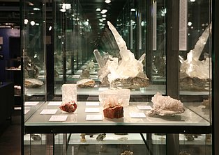 Aufnahme aus der Galerieausstellung "Steinreich. Mineralogie im Ruhr Museum".