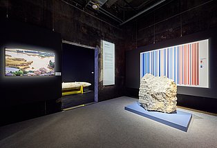 Blick in die Sonderausstellung "überLeben in der Eiszeit" 