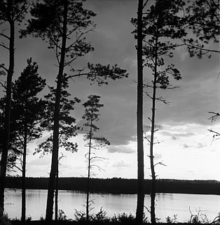 Masurische Seenplatte, Ostpreußen 1937 