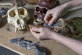 Mammut, Mensch und Feuerstein