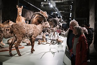 Besucher und Besucherinnen bestaunen in der Sonderausstellung Exponate