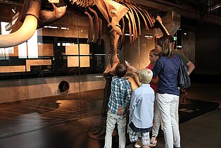 Eine Familie betrachtet ein großes Skelett in der Dauerausstellung.