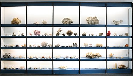 Blick auf eine wandfüllende Leuchtvitrine mit verschiedenen Mineralien auf Regalbrettern in der neuen Dauerausstellung des Mineralien-Museums