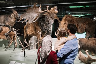 Menschen in der Sonderausstellung "überLeben in der Eiszeit"