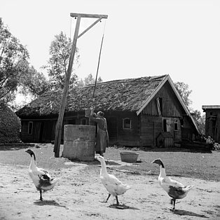 Bauernhof, Ostpreußen 1937