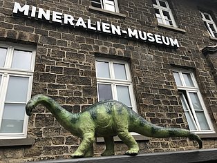Dinos im Mineralien-Museum