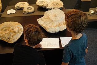 Mit dem Quiz das Mineralien-Museum entdecken
