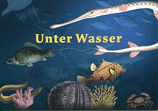 Postkarte zur Sonderausstellung, Haus Ripshorst, "Unter Wasser" 
