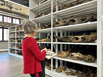 Frau zeichnet Bild im Schaudepot des Ruhr Museums