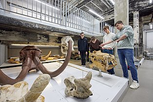 Blick in das Schaudepot des Ruhr Museums