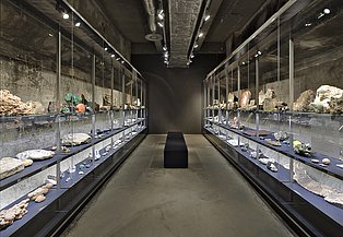 Die Mineralogische Sammlung Des Ruhr Museums | Ruhr Museum