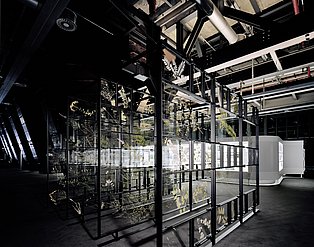 Großes Herbarium aus der Dauerausstellung des Ruhr Museums.