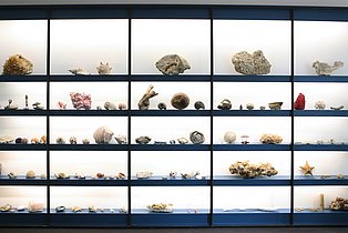 Blick auf eine wandfüllende Leuchtvitrine mit verschiedenen Mineralien auf Regalbrettern in der neuen Dauerausstellung des Mineralien-Museums