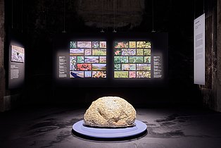 Blick in die Sonderausstellung "überLeben in der Eiszeit" 