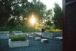 Färbergarten Auf Zeche Zollverein, in den letzten Sonnenstrahlen eingetaucht.
